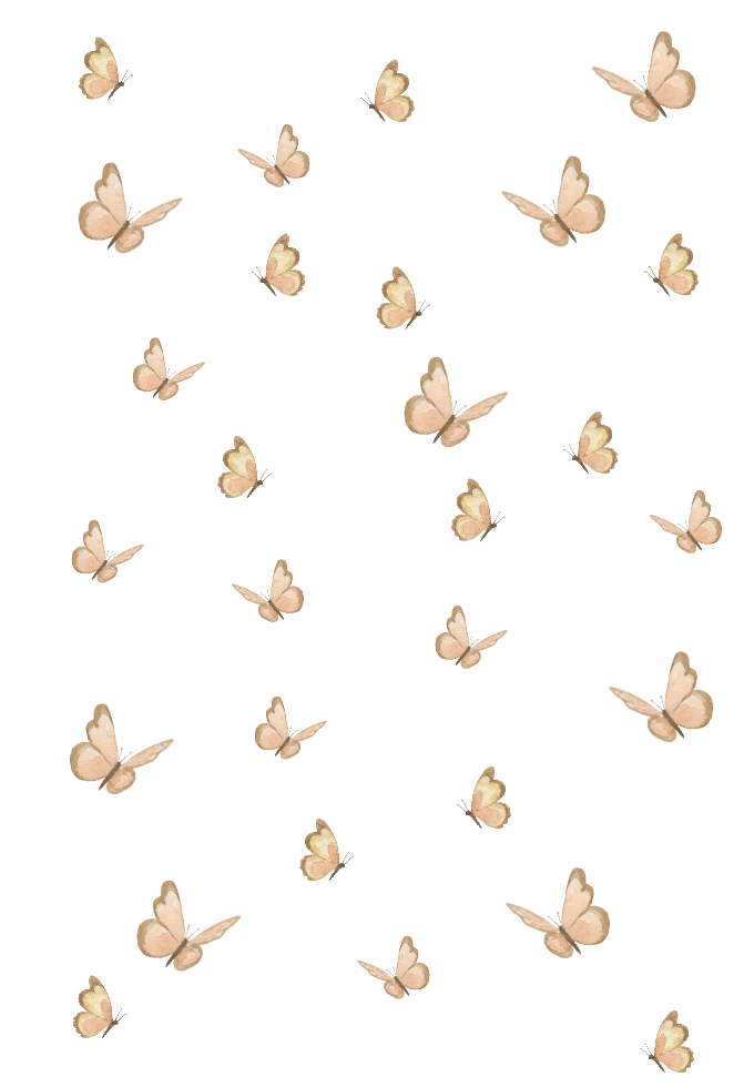 Wall stickers | Butterflies