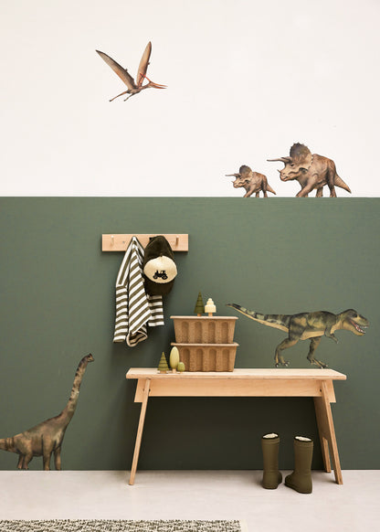Stickers muraux | Dino set aquarelle
